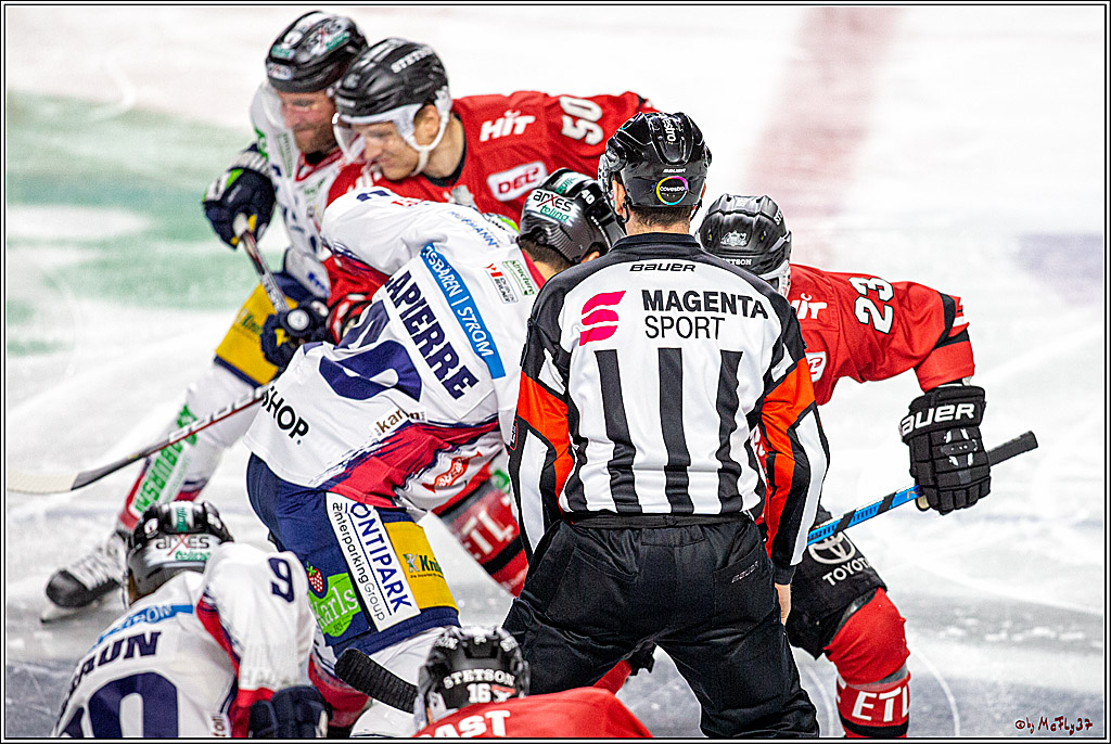 DEL;  Koelner Haie - Eisbaeren Berlin; Koeln, 12.01.2020